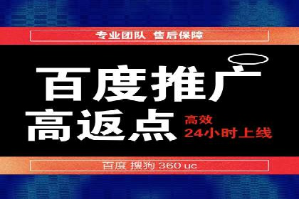 电商成功案例：竞价推广助力品牌崛起